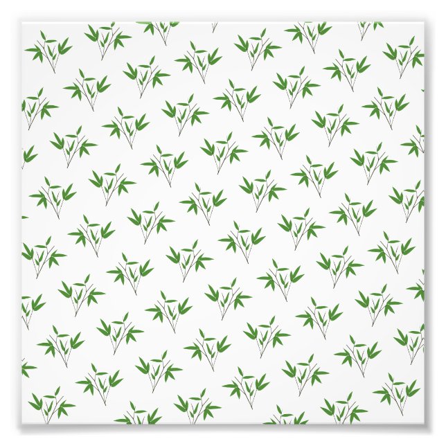 Foto Padrão de galhos de bambu (Frente)