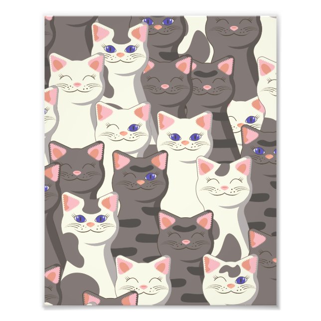 Foto Padrão de gatos brancos e cinzas (Frente)