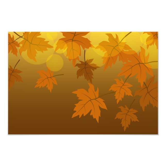 Foto Padrão de outono com folhas de carapaça e boque em (Frente)