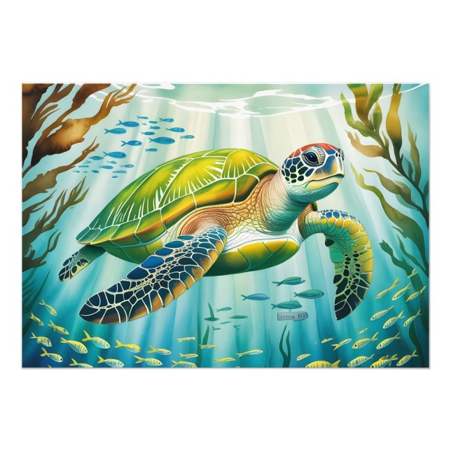 Foto Painted Turtle (Frente)