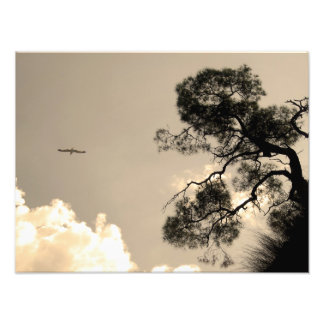Foto paisagem