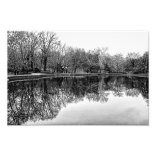 Foto Paisagem bonita do Central Park em preto & no