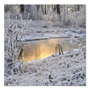 Foto Paisagem branca de inverno com neve e reflexo clar