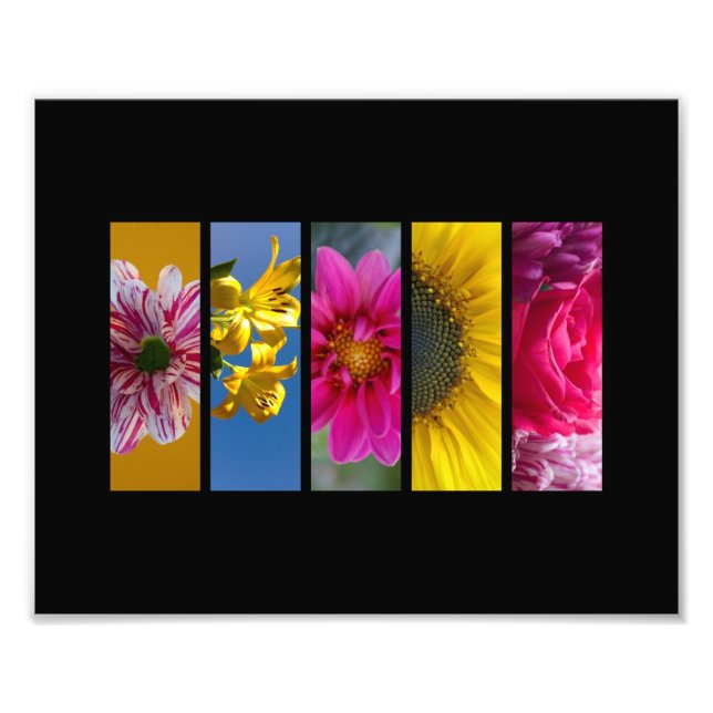 Foto Paisagem das flores de macro rosa e amarela (Frente)