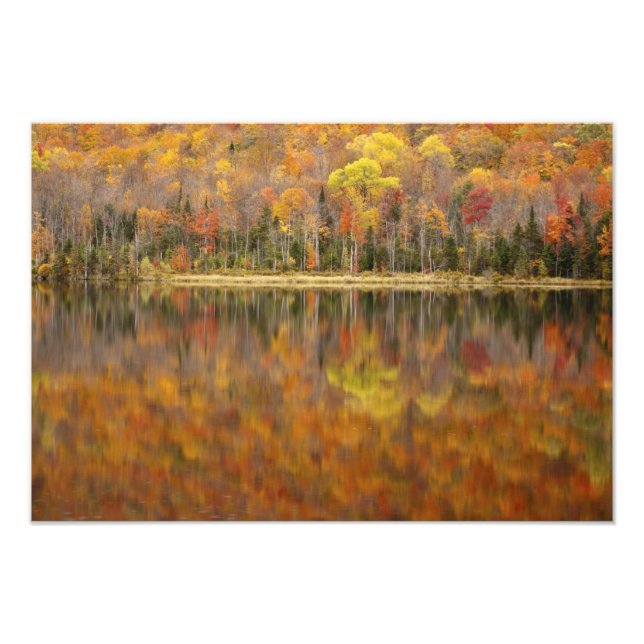 Foto Paisagem de outono com lago, Vermont, EUA (Frente)