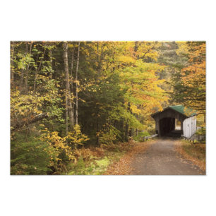 Foto paisagem de outono, Vermont, EUA 2