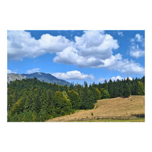 Foto Paisagem de Prado Montanhoso - Natureza Selvagem R