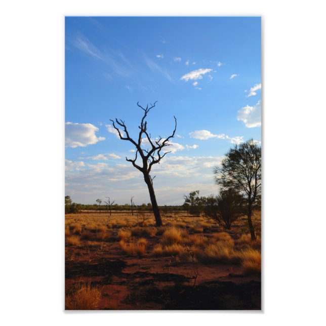 Foto Paisagem de saída (Frente)