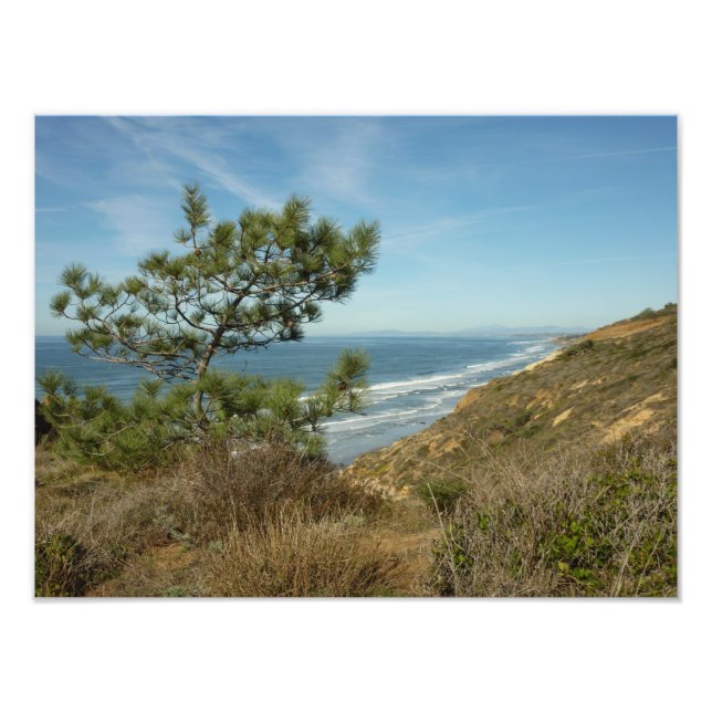 Foto Paisagem de Torrey Pine e Costa da Califórnia (Frente)
