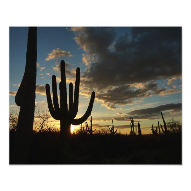 Foto Paisagem do Deserto de Arizona Saguaro Sunset II (Frente)