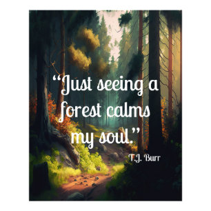 Foto Paisagem Florestal