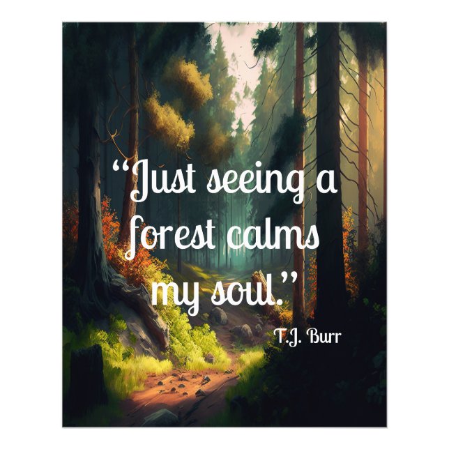 Foto Paisagem Florestal (Frente)