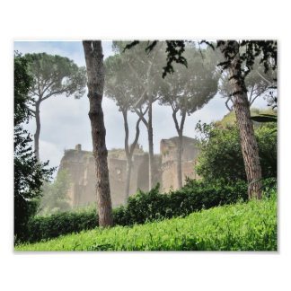Foto Palatine Hill Through the Trees, Roma