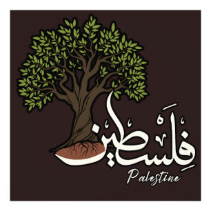 Foto Palavra Árabe Palestina com Árvore Oleícola Palest