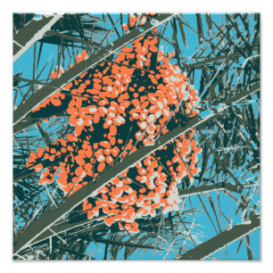 Foto Palm Primavera 6 Color Palm Berries 6A