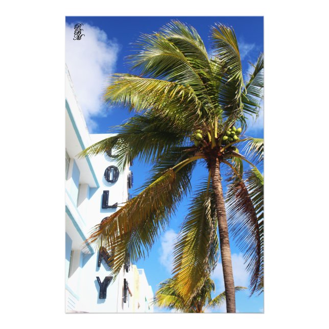 Foto Palm Tree on Miami Beach (Frente)