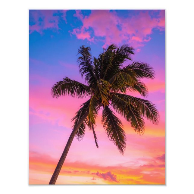 Foto palmas (Frente)