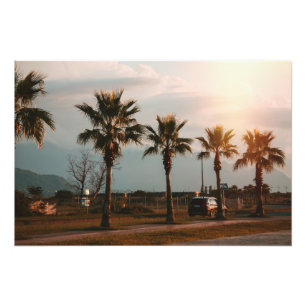 Foto Palmas em Batumi Georgia