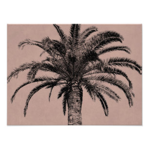 Foto Palmeira havaiana retro - modelo das palmas do