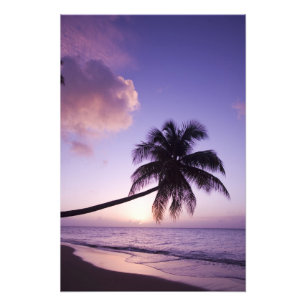 Foto Palmeira solitária ao pôr do sol, praia de Coconut