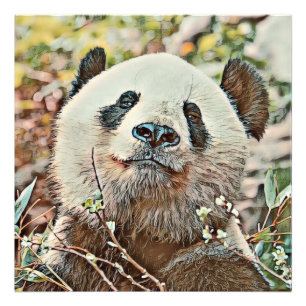 Foto panda toony
