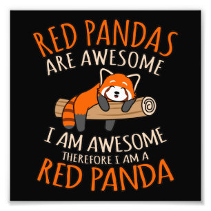 Foto Pandas Vermelhas São Incríveis Pet Animal Panda 