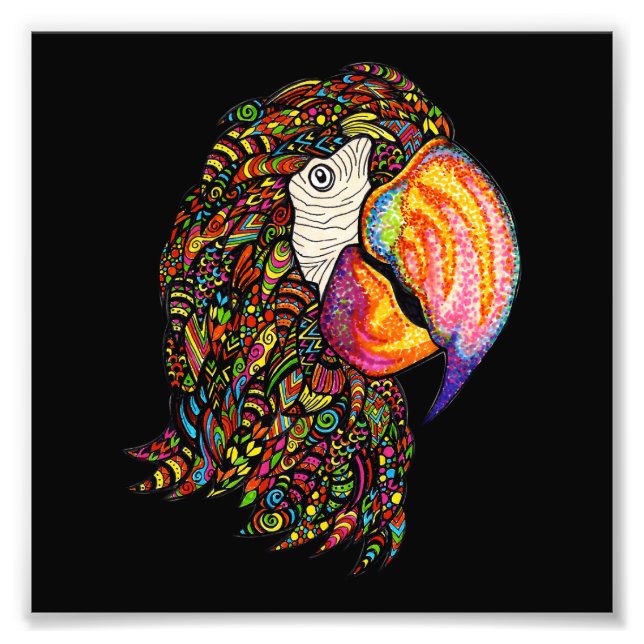 Foto Papagaio (Frente)