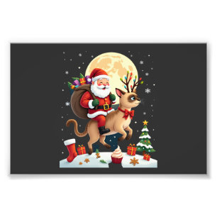Foto Papai Noel Montado Rena Siamês Gato Árvore de Nata