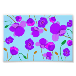 Foto Papaver Poppy Lilac sobre fundo azul pálido