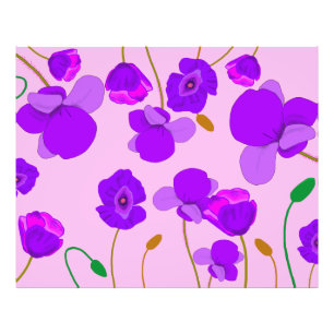 Foto Papaver somniferum Lilac
