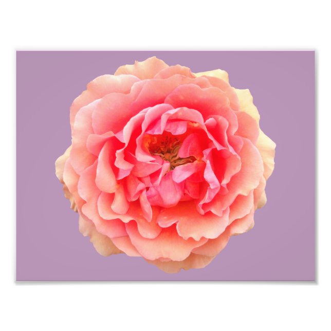 Foto Papel Fotográfico profissional Pinky Kodak (Satin) (Frente)