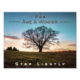 Foto Para o Awe & Wonder, Passo Lighted Tree