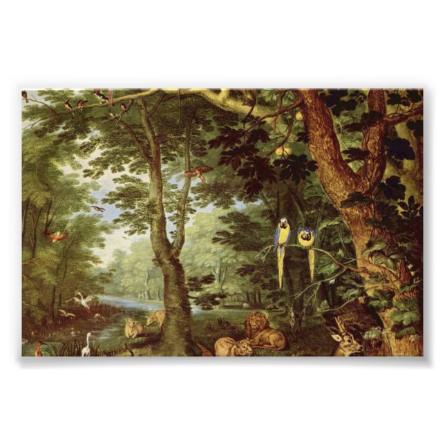 Foto Paraíso (Frente)