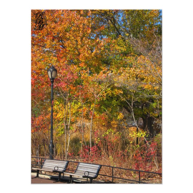 Foto Park Bench e Autumn Leaves (Frente)
