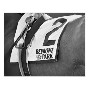 Foto Parque Belmont Desde 1905