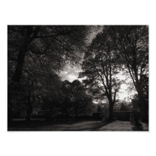 Foto Parque Cardiff do Bute da paisagem do outono