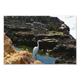 Foto Parque Estadual Crystal Cove