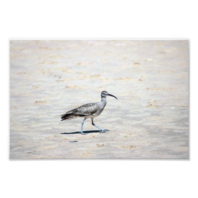 Foto Parque Estadual Crystal Cove (Frente)