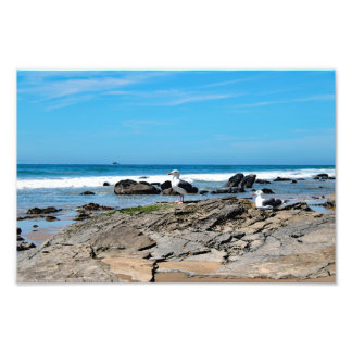Foto Parque Estadual Crystal Cove