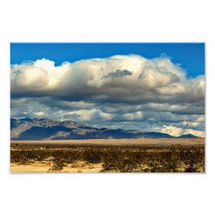 Foto Parque Estadual do Deserto de Anza Borrego