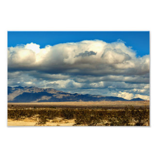 Foto Parque Estadual do Deserto de Anza Borrego