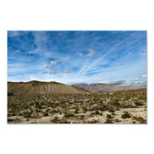 Foto Parque Estadual do Deserto de Anza Borrego