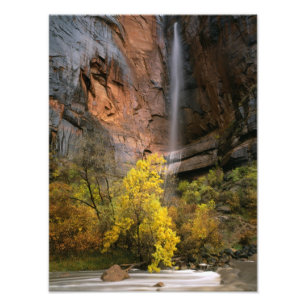 Foto Parque Nacional de Zion, Utah. EUA. Efêmero