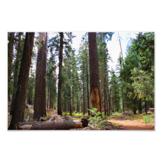 Foto Parque Nacional do Kings Canyon