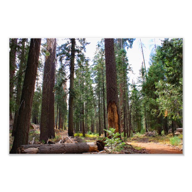 Foto Parque Nacional do Kings Canyon (Frente)