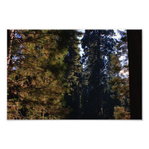Foto Parque Nacional do Kings Canyon