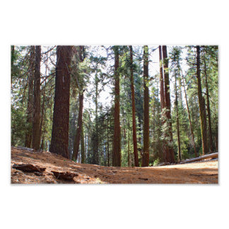 Foto Parque Nacional do Kings Canyon