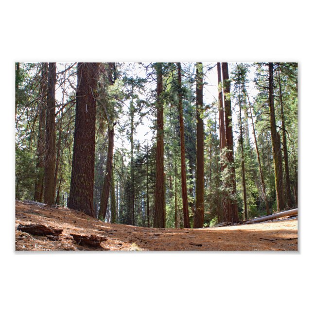 Foto Parque Nacional do Kings Canyon (Frente)