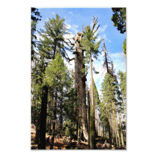 Foto Parque Nacional do Kings Canyon