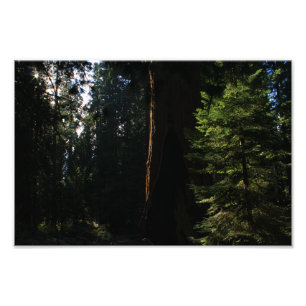 Foto Parque Nacional do Kings Canyon